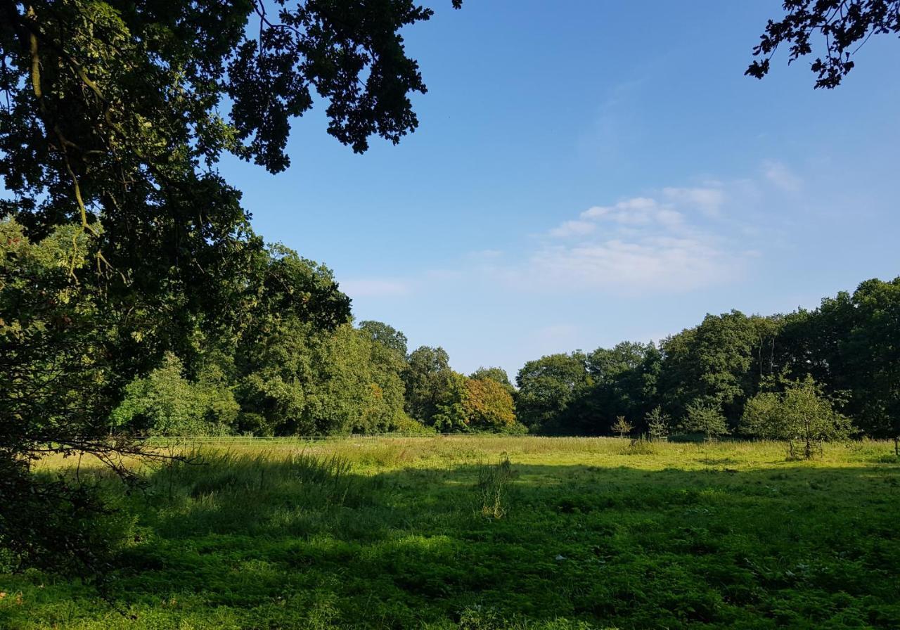 Wohlfuehloase Am Bad Zwischenahner Meer Bagian luar foto