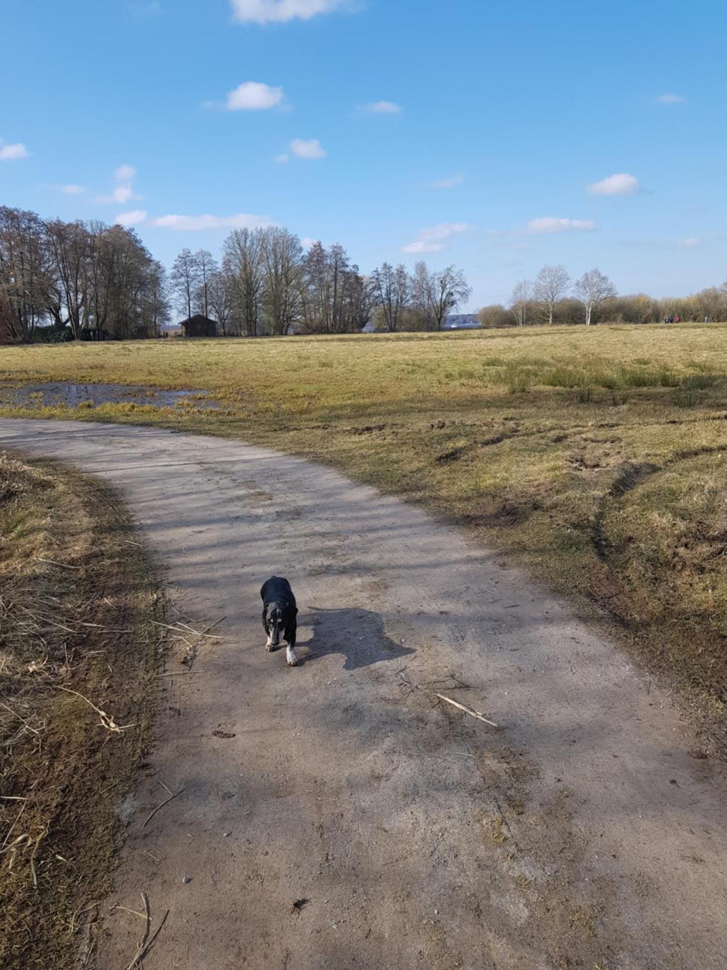 Wohlfuehloase Am Bad Zwischenahner Meer Bagian luar foto